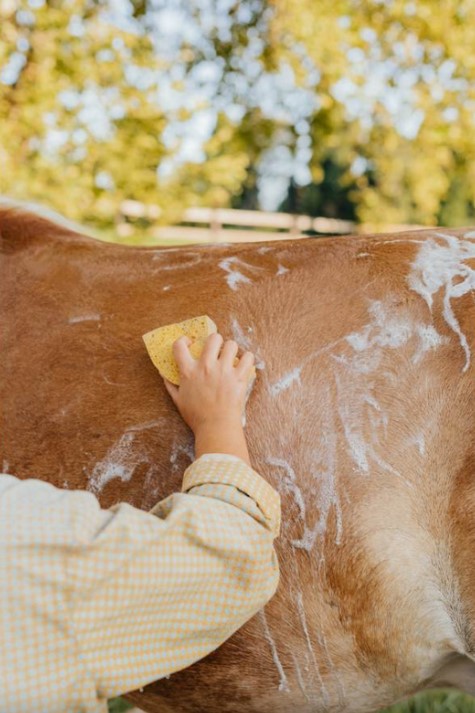 Marius Fabre, Hevosshampoo 1Litra - Image 2