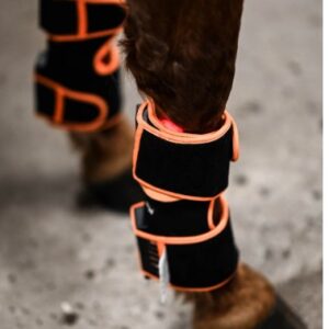 Led Treatment Pad PEMF Equine 2kpl