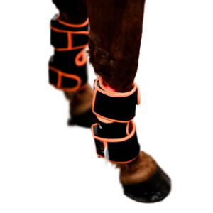 Led Treatment Pad PEMF Equine 1kpl