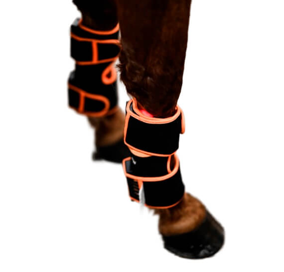 Led Treatment Pad PEMF Equine 1kpl